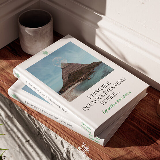 Livres fictifs intitulés "L’histoire que vous êtes venu écrire...", symbolisant l’accompagnement des entrepreneurs à Brignoles, Var