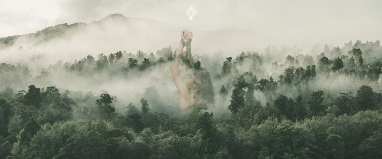 Femme renaissant d’une forêt brumeuse, symbolisant le ressourcement et la transformation.