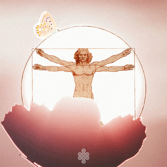 Illustration de l’homme de Vitruve dans une fleur et un papillon posé sur lui symbolisant l'harmonie, transformation et épanouissement à Brignoles, dans le Var.